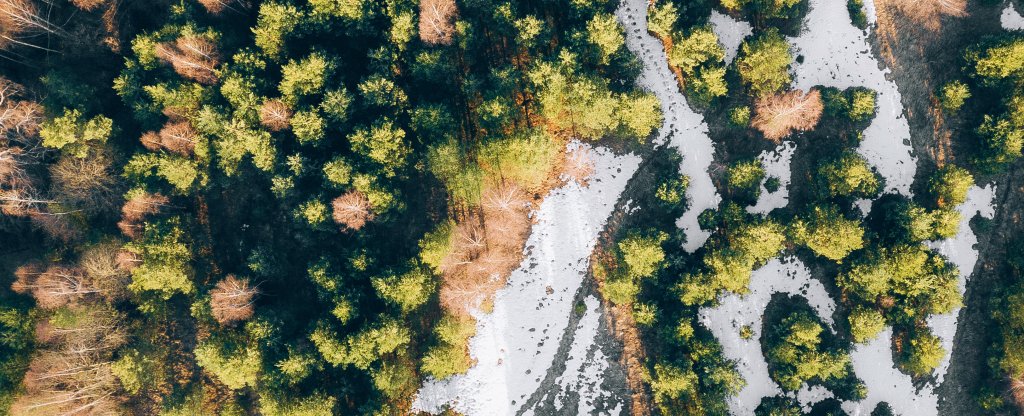 Конная тропинка, Борисоглебский - Фото с квадрокоптера