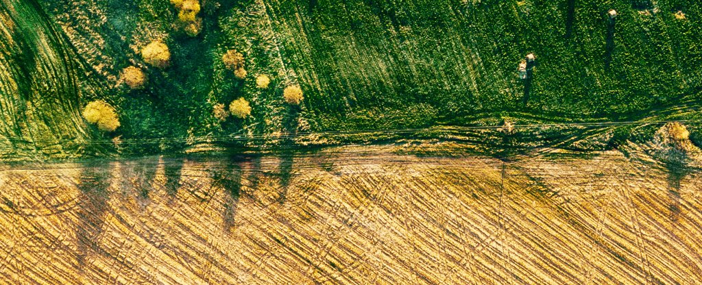 Mid-spring,  - Фото с квадрокоптера