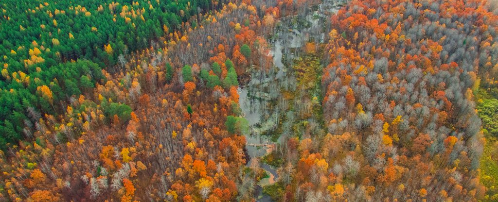 Ветлужский район,  - Фото с квадрокоптера