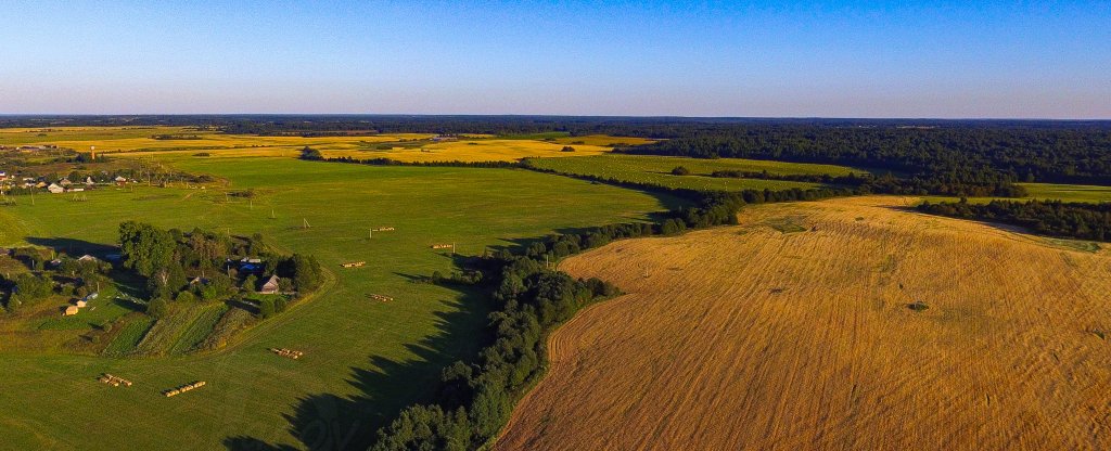 Рожь поспевает (Вологодская область, д. Марьинское),  - Фото с квадрокоптера