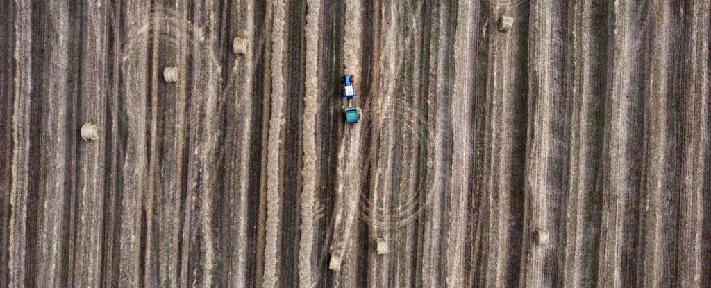 Поля Беларуси, Минск - Фото с квадрокоптера