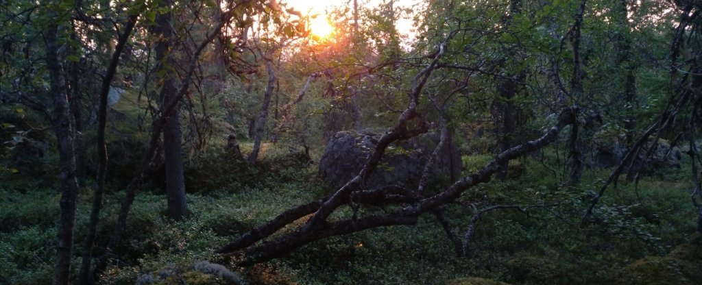 Воттоваара, лето 2018, Петрозаводск - Фото с квадрокоптера