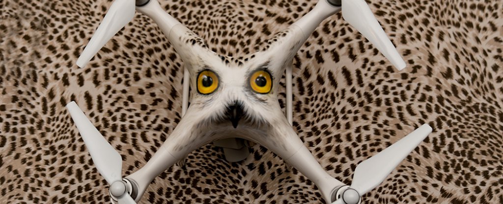 Коптер Фантом,  - Фото с квадрокоптера