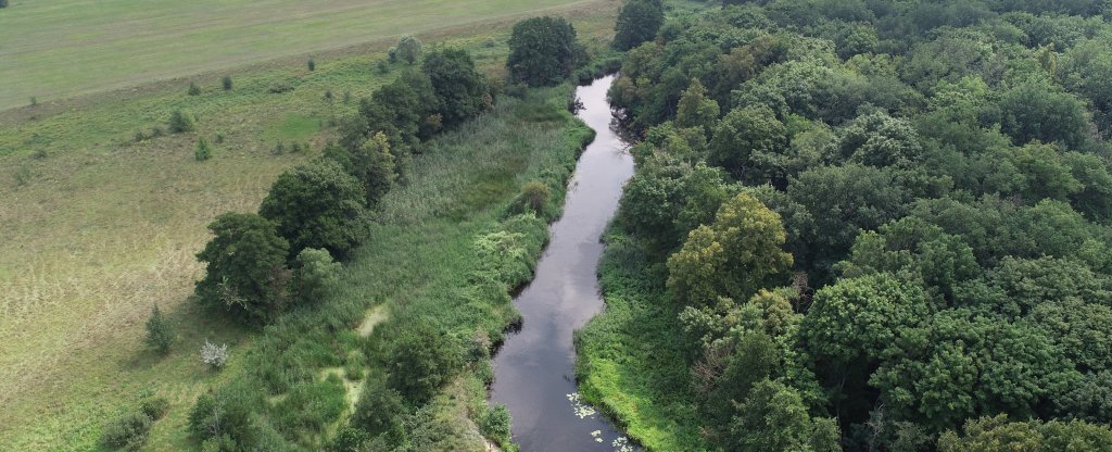 Воронежская обл., Аннинский р-н, р. Битюг,  - Фото с квадрокоптера