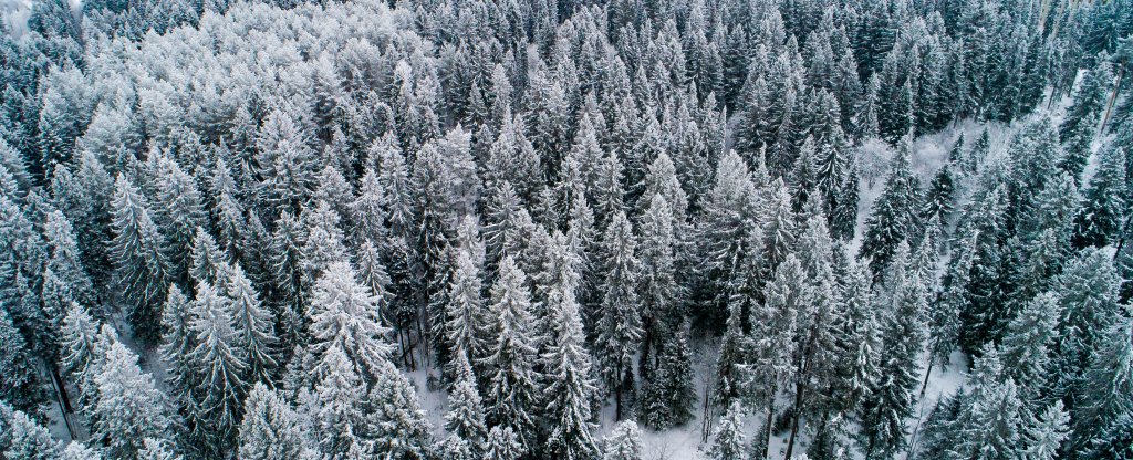 Зима,  - Фото с квадрокоптера