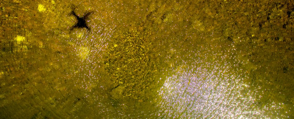 тень,  - Фото с квадрокоптера