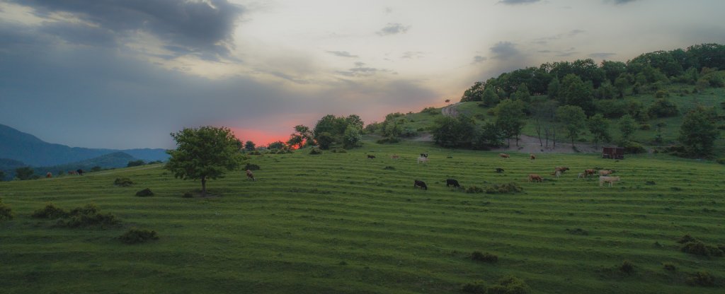 Горный луг, Сочи - Фото с квадрокоптера