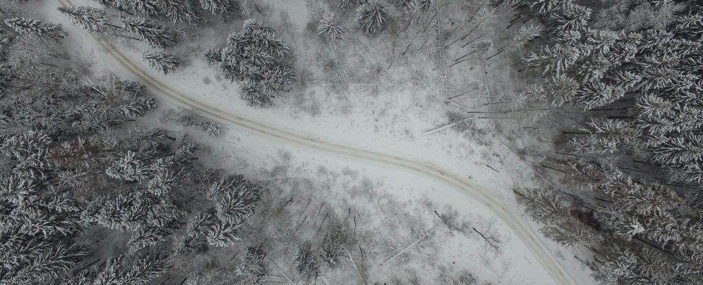 Съемка парка усадьбы Царицыно,  - Фото с квадрокоптера